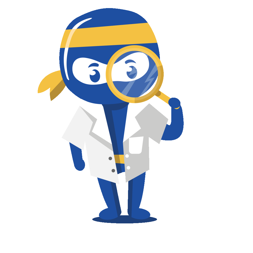 Ninja Icon