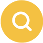 Search Icon
