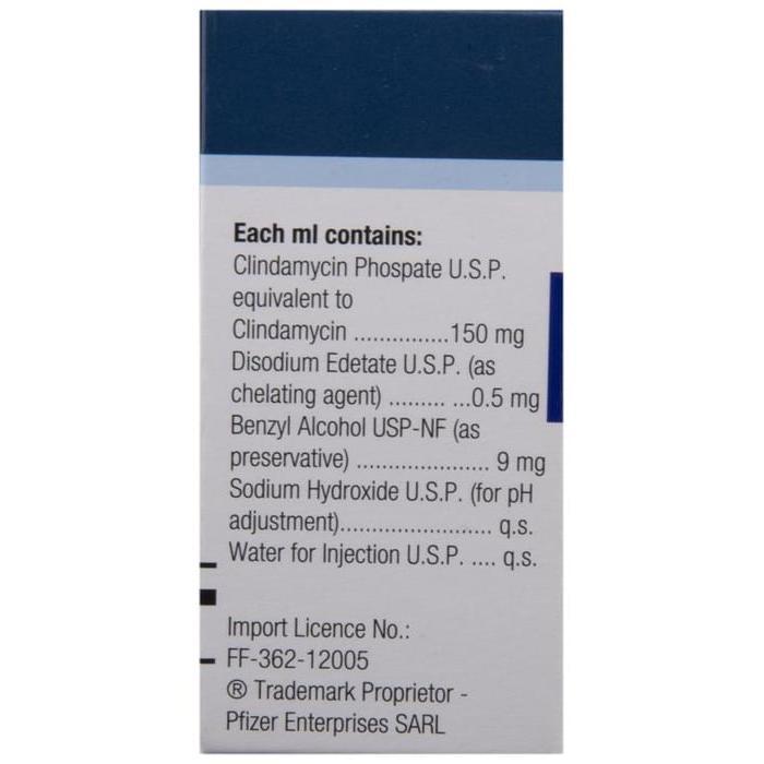 Dalacin C 600 Mg Injection 4 Ml 2